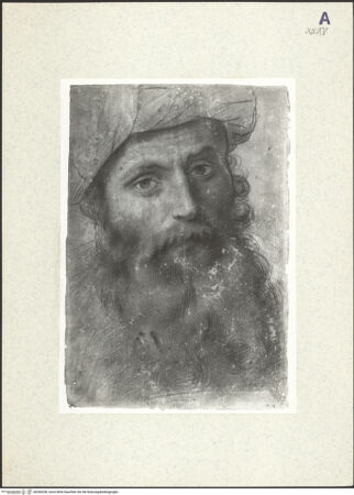 Vorderseite von bh360290_recto