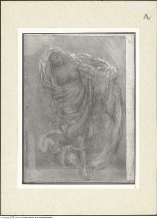 Vorderseite von bh360314_recto