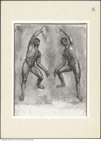 Vorderseite von bh360316_recto