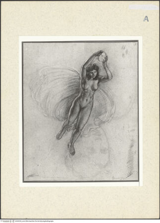 Vorderseite von bh360320_recto