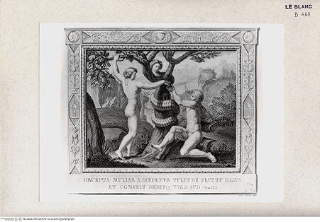 Vorderseite von Istituto Nazionale per la Grafica, Calcografia [http://creativecommons.org/publicdomain/mark/1.0/] "Picturae Peristyli Vaticani...1790"Der Sündenfall; (Bl. 6) - , bh360480. Foto.