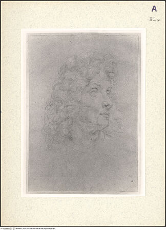 Vorderseite von bh360597_recto