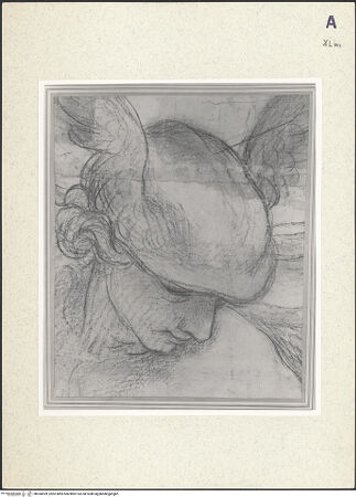 Vorderseite von bh360599_recto