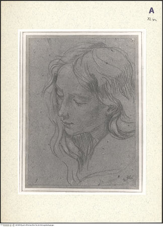 Vorderseite von bh360600_recto