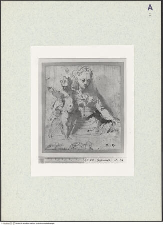 Vorderseite von bh360626_recto