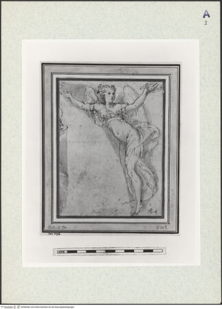 Vorderseite von bh360628_recto