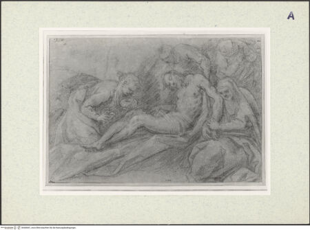 Vorderseite von bh360641_recto