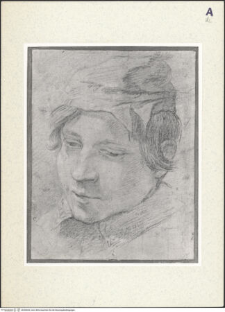 Vorderseite von bh360644_recto