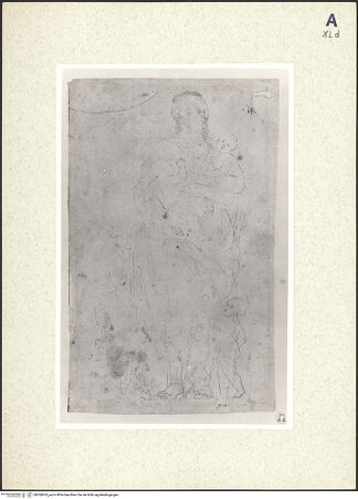 Vorderseite von bh360665_recto