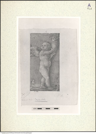 Vorderseite von bh360666_recto