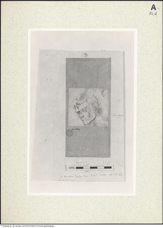 Vorderseite von bh360667_recto