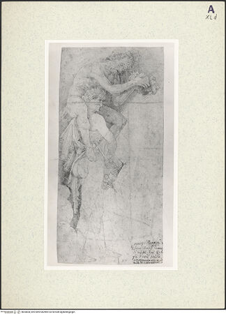 Vorderseite von bh360668_recto