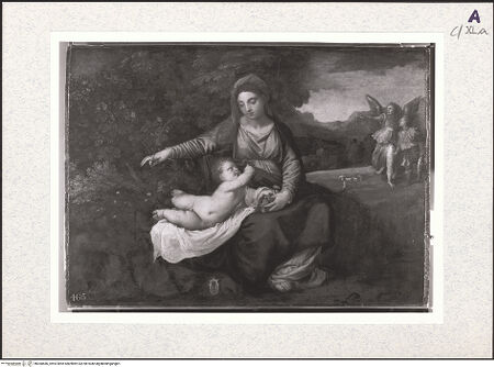 Vorderseite von bh360686_recto