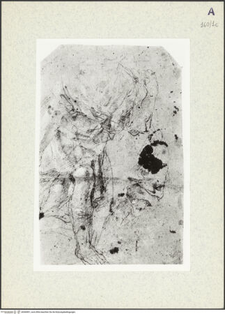 Vorderseite von bh360851_recto