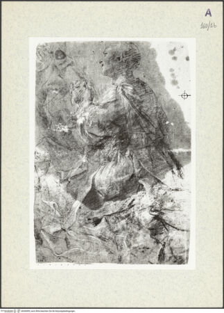 Vorderseite von bh360855_recto