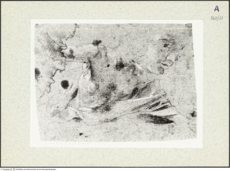 Vorderseite von bh360856_recto