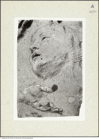 Vorderseite von bh360858_recto