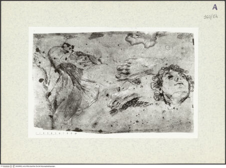 Vorderseite von bh360862_recto