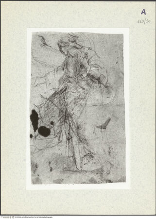 Vorderseite von bh360866_recto