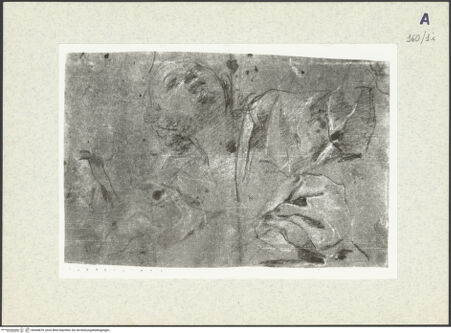 Vorderseite von bh360879_recto