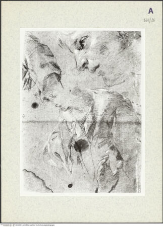 Vorderseite von bh360881_recto