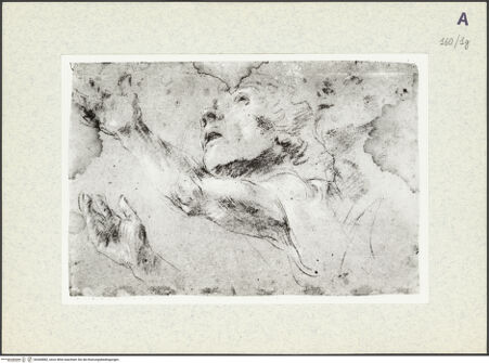 Vorderseite von bh360882_recto