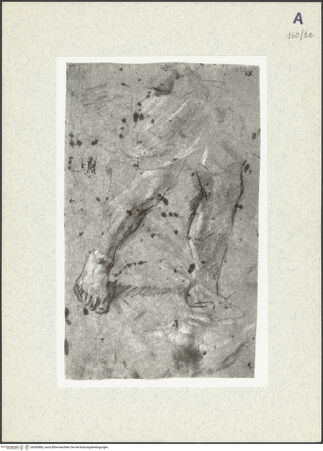 Vorderseite von bh360883_recto