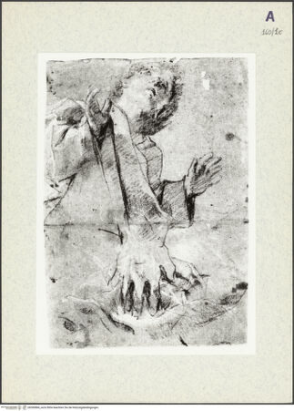 Vorderseite von bh360884_recto