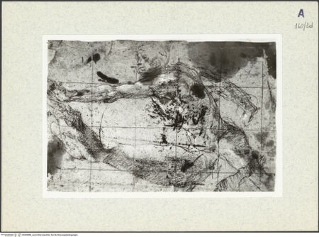 Vorderseite von bh360886_recto