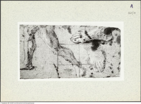 Vorderseite von bh360887_recto