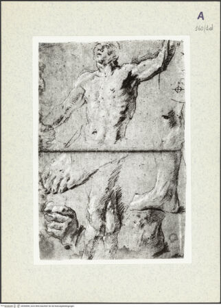 Vorderseite von bh360890_recto