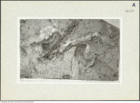 Vorderseite von bh360891_recto