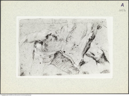 Vorderseite von bh360892_recto