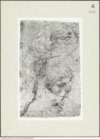 Vorderseite von bh360893_recto