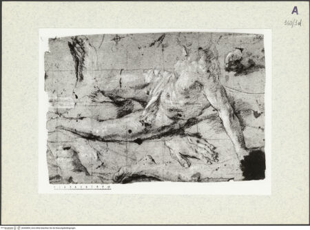 Vorderseite von bh360894_recto