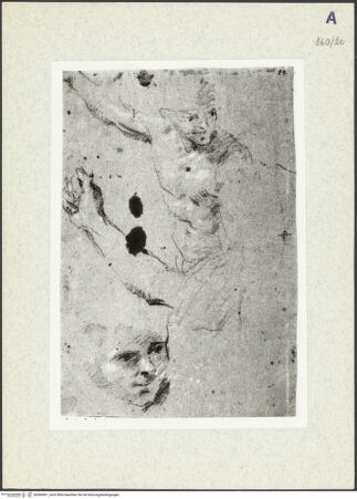 Vorderseite von bh360897_recto