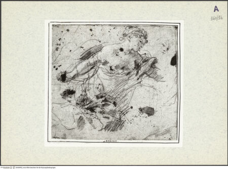 Vorderseite von bh360902_recto