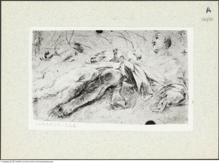 Vorderseite von bh360905_recto