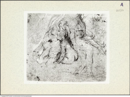 Vorderseite von bh360921_recto