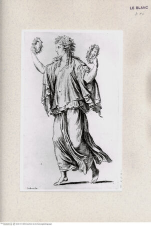 Vorderseite von Landesbildstelle Rheinland [http://creativecommons.org/publicdomain/mark/1.0/] Flora - , bh361013. Foto.