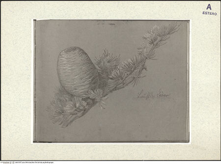 Vorderseite von bh361047_recto