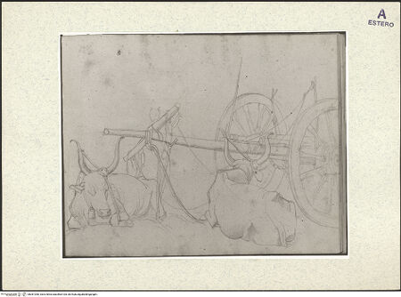 Vorderseite von bh361050_recto