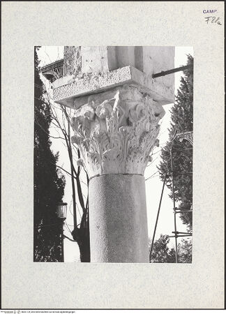 Vorderseite von unbekannt [https://www.deutsche-digitale-bibliothek.de/content/lizenzen/rv-ez/] Spoliensäulen der Portikus3. Säule von links: Säule mit attischer Marmorbasis, glattem Schaft und korinthischem KapitellKorinthisches Kapitell - Gesamtansicht von Südosten, bh361129_recto. Foto: Hutzel, Max.