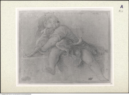 Vorderseite von bh361257_recto