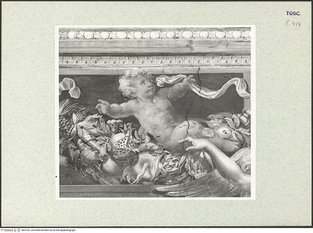 Vorderseite von bh361491_recto