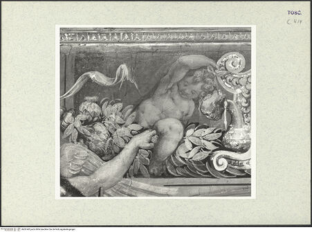 Vorderseite von bh361493_recto