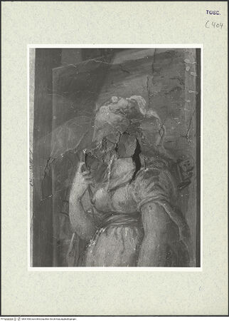 Vorderseite von bh361508_recto