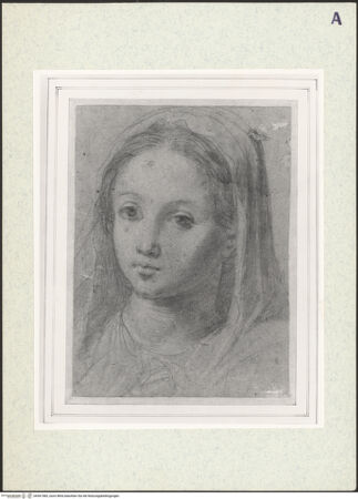 Vorderseite von bh361583_recto