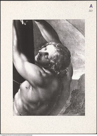 Vorderseite von bh361615_recto