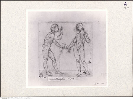 Vorderseite von bh362075_recto